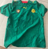 Trikot Kamerun Nationalmannschaft L Puma Findorff - Findorff-Bürgerweide Vorschau