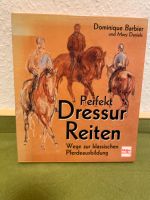 Dominique Barbier- Perfekt Dressur Reiten Schleswig-Holstein - Steinfeld Vorschau