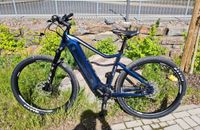 eBike Leader Fox Kent 29" eMTB 95Nm 720 Wh wenig genutzt Rheinland-Pfalz - Urmersbach Vorschau