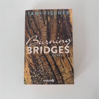 Burning Bridges von Tami Fischer Bayern - Roth Vorschau