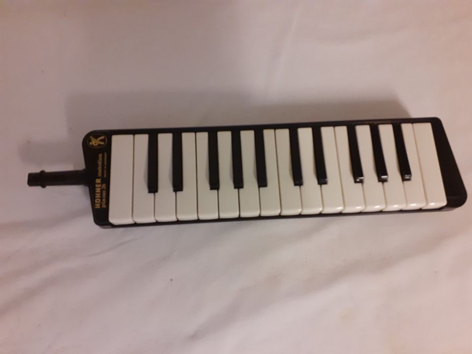 Hohner Melodica Piano 26 in Oerlenbach