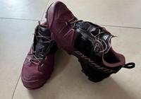 DYNAFIT TRANSALPER GORE TEX Schuhe Gr.39 Bayern - Raubling Vorschau