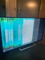 Fernseher Toshiba mit Display schaden Nordrhein-Westfalen - Gelsenkirchen Vorschau