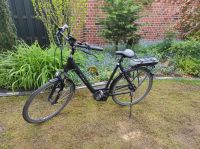 28 Zoll Velo-De-Ville E-Bike CEB800 mit Bosch-Antrieb Active Line Nordrhein-Westfalen - Rhede Vorschau