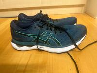 Asics Gel Nimubs 24 Größe 46,5 Bayern - Werneck Vorschau