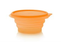 Mini-Max Tupperware 700 ml orange 2 Stück Nordrhein-Westfalen - Erwitte Vorschau