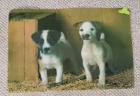 2 x Platzdeckchen/Sets für Hundefans Hessen - Wabern Vorschau