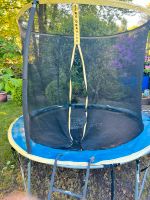 Trampolin 300cm Kreis Pinneberg - Pinneberg Vorschau