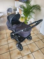 Kinderwagen Teutonia Be you Elite Nordrhein-Westfalen - Rheine Vorschau