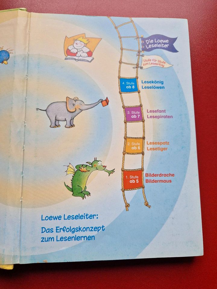 LESEPIRATEN, Schulklassengeschichten,top:) in Warburg