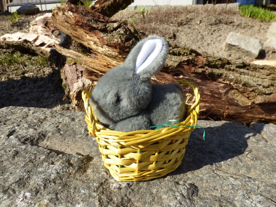 Osterdeko Plüschhase Stoffhase im Weidenkorb in Pfaffenhofen a.d. Ilm