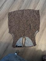 Leoparden Top Niedersachsen - Papenburg Vorschau