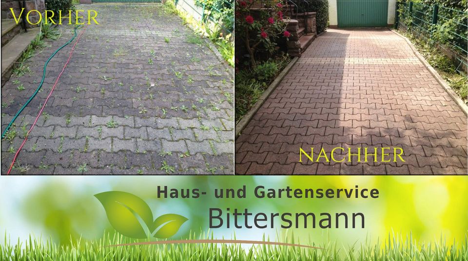 Haus- und Gartenservice/Gartenpflege/Winterdienst/Rasen in Höxter