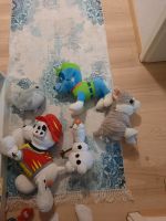 Paw patrol,Olaf,Katze,Hai Plüschfiguren Bayern - Flintsbach am Inn Vorschau