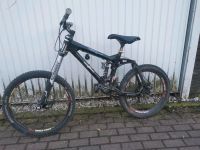 Alutech Wildsau Downhill bike Leipzig - Lindenthal Vorschau