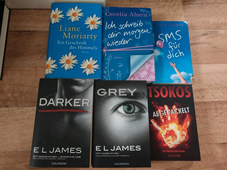 Bücher, Ahern, Cramer, Grey, Darker, Tsokos, El James in Amberg