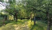 Suchen Freizeitgrundstück, Schrebergarten zum Kauf in Raum Achern Baden-Württemberg - Achern Vorschau