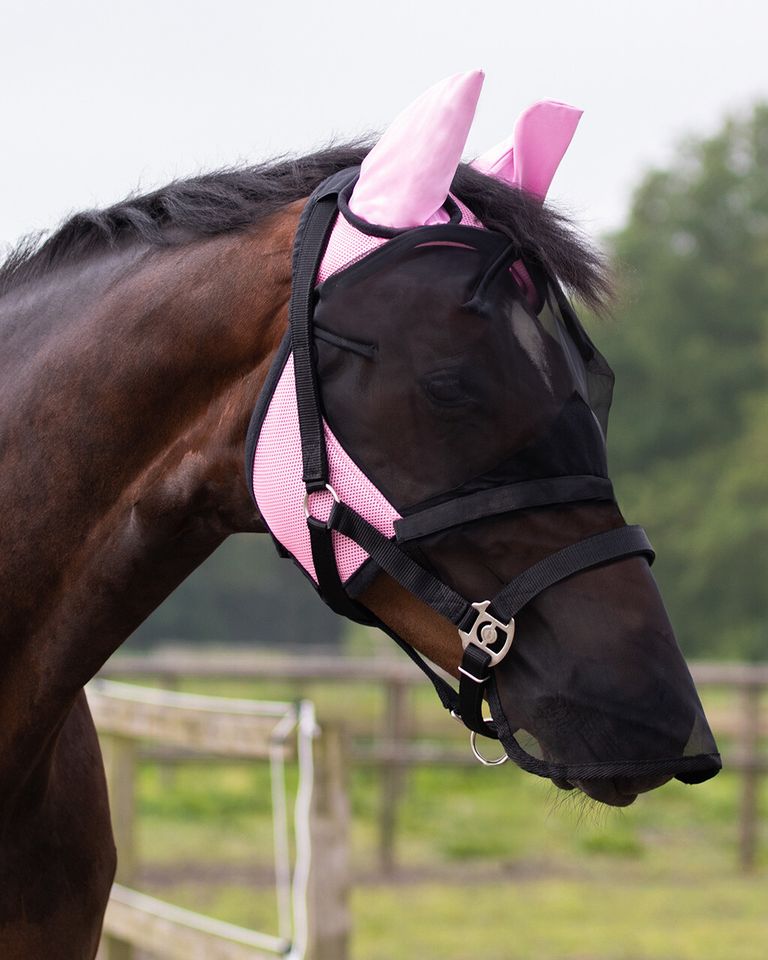 QHP Fliegenmaske mit Schopfloch  Mini-Shetty-Pony-Cob- Full-XFull in Mönchengladbach