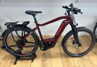 Haibike Trekking 11 High i750Wh Nordrhein-Westfalen - Nottuln Vorschau