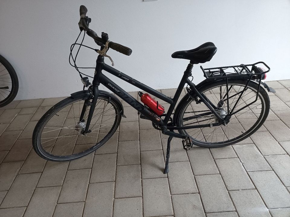 Giant Tourer CS lite Herren Fahrrad in Steinfeld