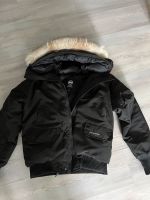 Canada Goose Chilliwack Nordrhein-Westfalen - Gladbeck Vorschau