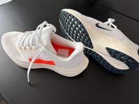 Nike AIR ZOOM PEGASUS 40,5 PQ - Laufschuh Straße Nordrhein-Westfalen - Leopoldshöhe Vorschau