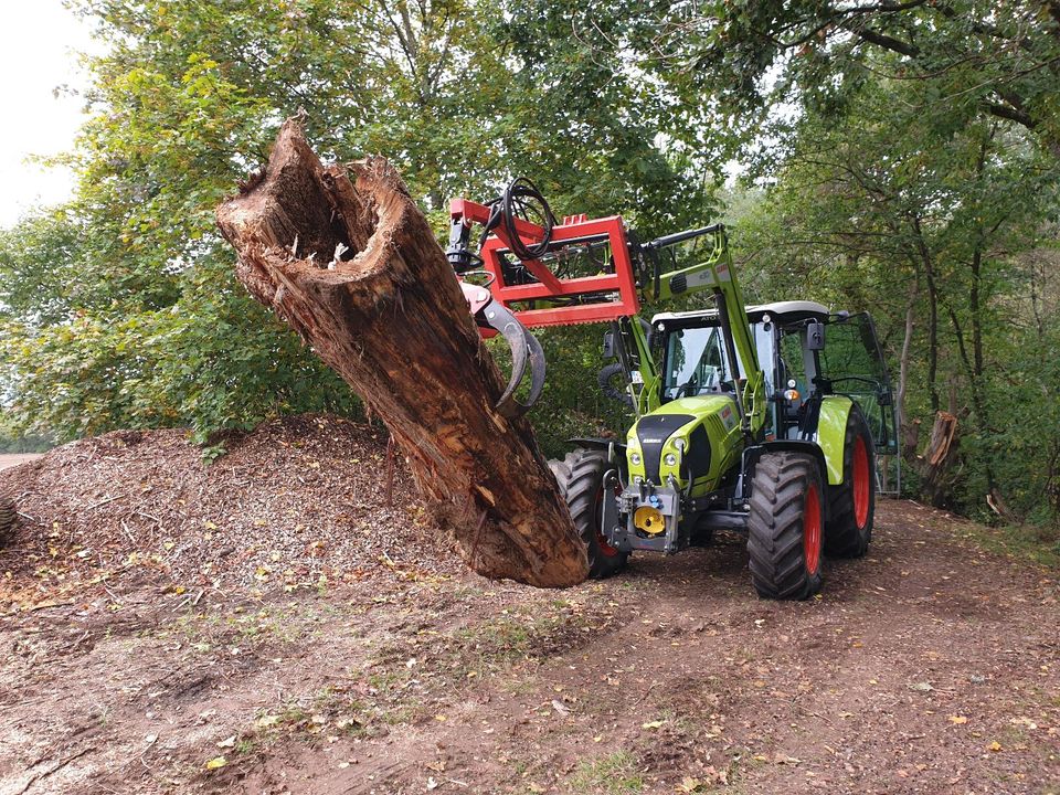 Baum Fällung inkl. Grünschnittentsorgung in Schönenberg-Kübelberg