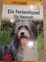 Lesen lernen Hunde Schleswig-Holstein - Kisdorf Vorschau
