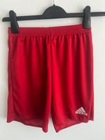 Adidas Parma 16 Sport Training Shorts kurze Hose pants S Hamburg - Wandsbek Vorschau