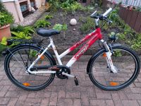 26zoll Mädchen-Damenfahrrad Pegasus Rheinland-Pfalz - Schifferstadt Vorschau