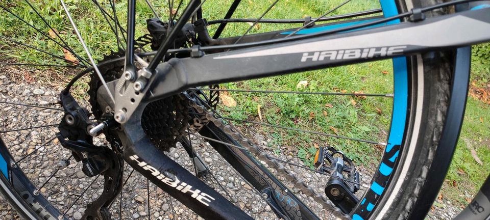 E-Bike Haibike 28 Zoll (inkl. Kindersitz) in Dietenhofen