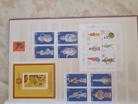 Verkaufe Briefmarken und Briefkarten Part 2 Mecklenburg-Vorpommern - Wolgast Vorschau