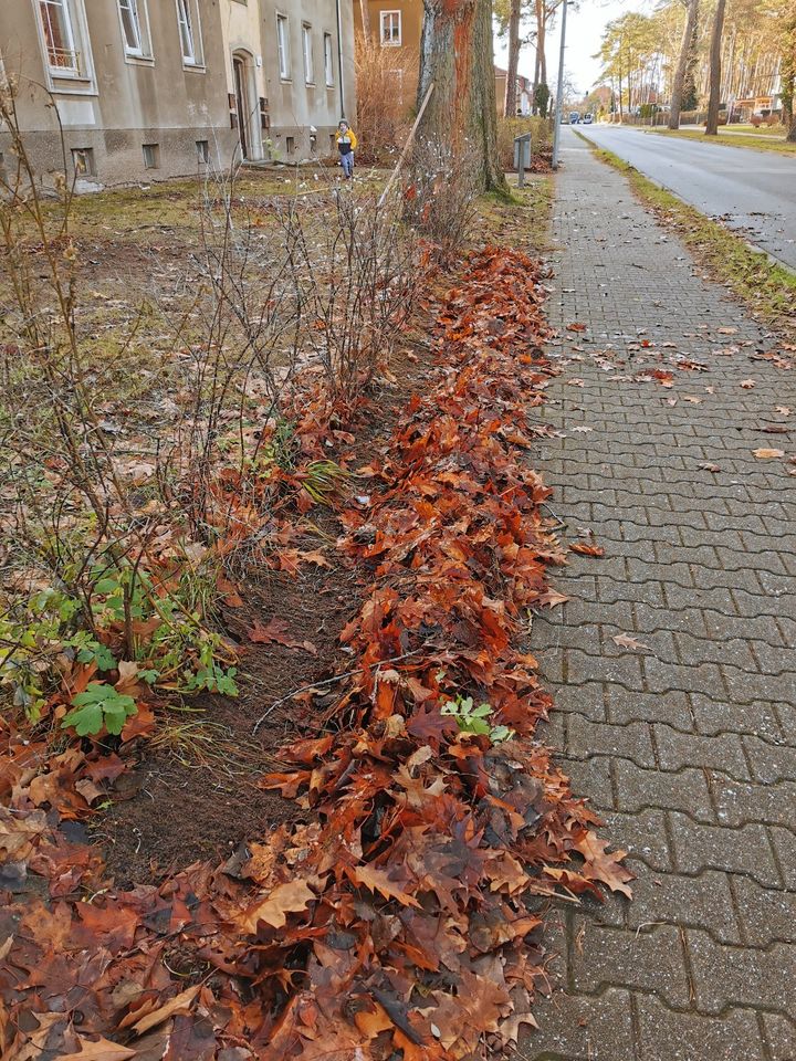 Hausmeisterservice Transporte Umzüge Hilfe Gartenarbeit Silikon in Werder (Havel)