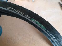 Schwalbe Plus Reifen 28 1,4 Nordrhein-Westfalen - Alpen Vorschau