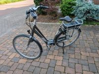 E-Bike Vyber Ride S1 Nordrhein-Westfalen - Rees Vorschau