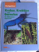 Ein Buch Krebse Krabben Garnelen im Aquarium Fische Friedrichshain-Kreuzberg - Friedrichshain Vorschau