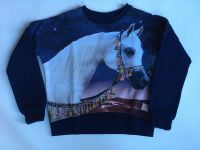 Molo Pulli / Sweatshirt / Pullover Marigold Arabian Horse Pferd Nürnberg (Mittelfr) - Mitte Vorschau