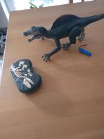 Dino mit Akku Nordrhein-Westfalen - Wassenberg Vorschau