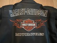 Harley Davidson Lederjacke Flames Grösse M Hessen - Heppenheim (Bergstraße) Vorschau