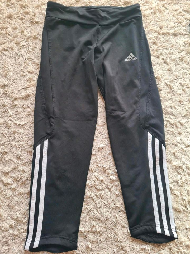 Adidas Sporthose Knielang in Butzbach