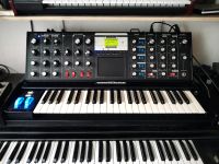 Moog Voyager Electric Blue Edition Hannover - Linden-Limmer Vorschau