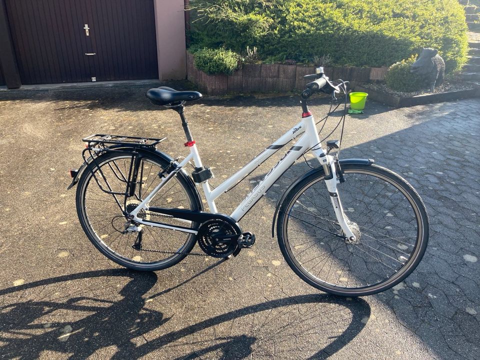 Fahrrad Pegasus Solero SL in Rielasingen-Worblingen