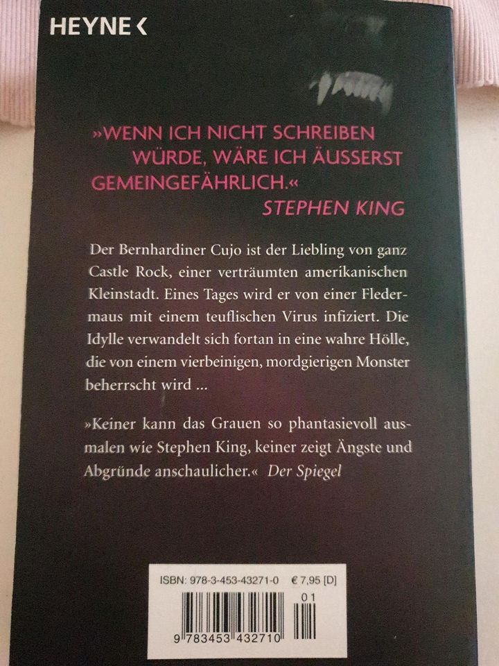 Fear Street, Gänsehaut & Stephen King Bücher in Homburg