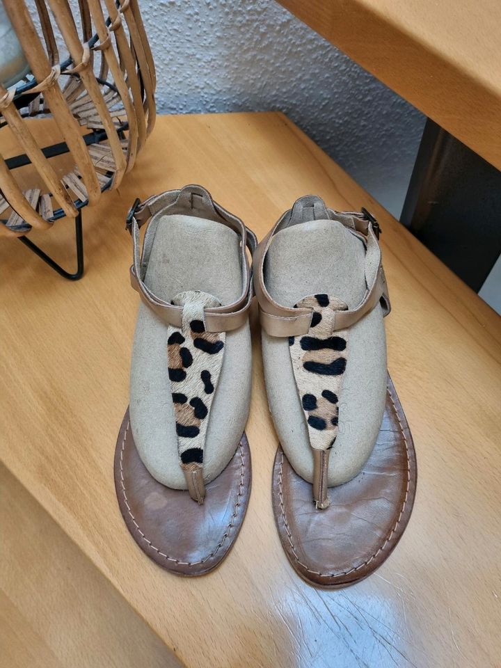 Leder Sandalen Zehentrenner Leo Neuwertig Gr.40 braun in Gescher