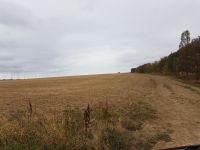 Grünland Wiese Streuobstwiese Ackerland Dingelstädt  Mühlhausen Thüringen - Dingelstädt Vorschau