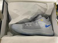 Nike PG 2.5 PlayStation neu ungetragen US9 / 42.5 mit Rechnung Baden-Württemberg - Künzelsau Vorschau