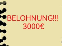 3000€ Belohnung, İch Suche 2 oder 3 Zimmer Wohnung, Bayern - Eching (Kr Freising) Vorschau
