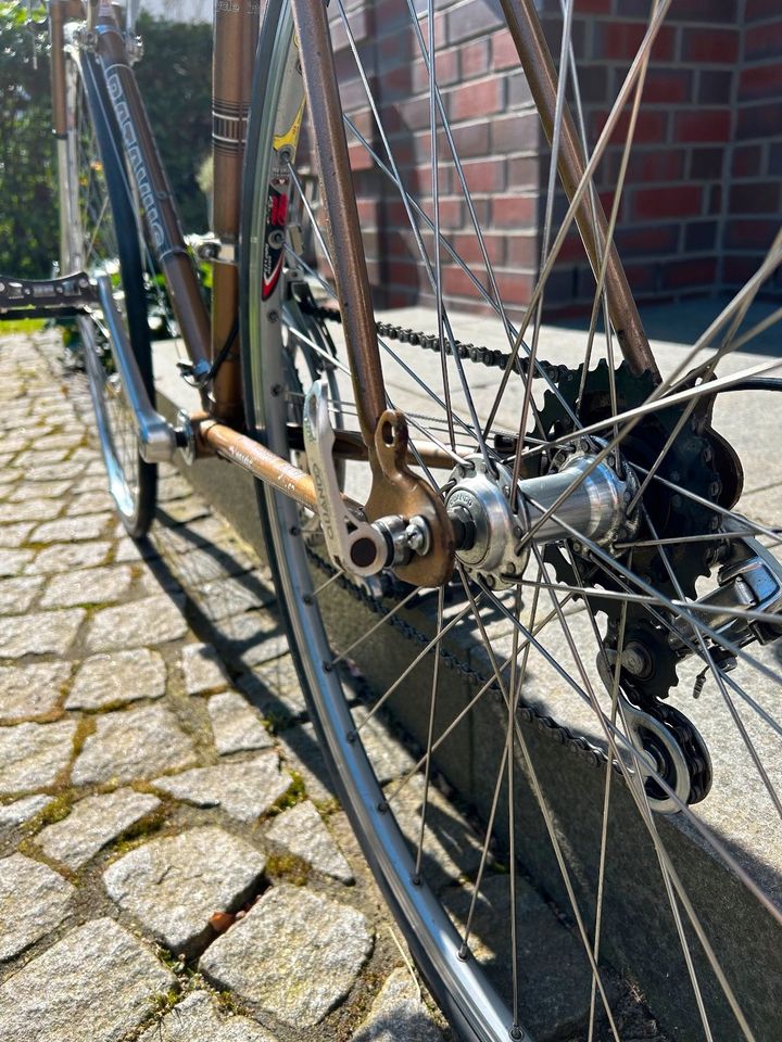 Batavus Vintage Rennrad (Rahmenhöhe 58cm) in Ahrensburg