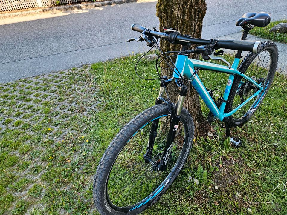 Mountainbike 29 Zoll in Traunstein