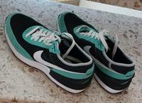 Nike leichte Laufschuhe für den Sommer, Gr. 39, wie neu Hessen - Kaufungen Vorschau
